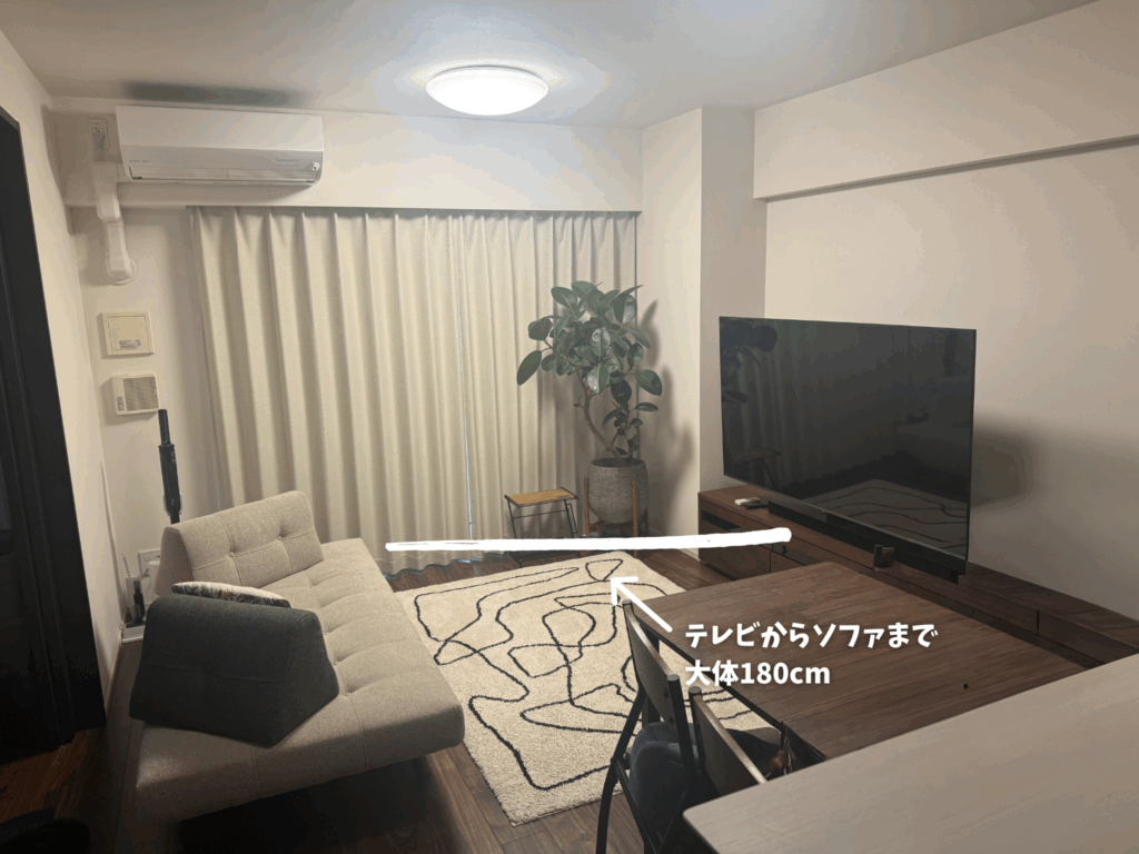 65 インチテレビ
